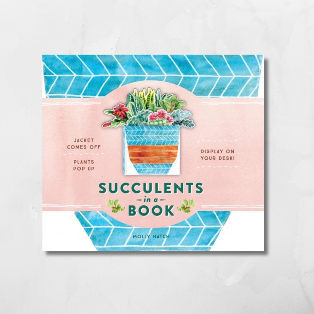 Succulents in a Book by Molly Hatch