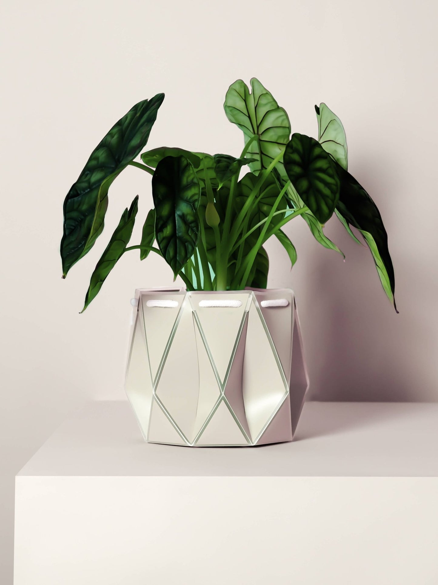15cm Self-watering POTR | Ivory White