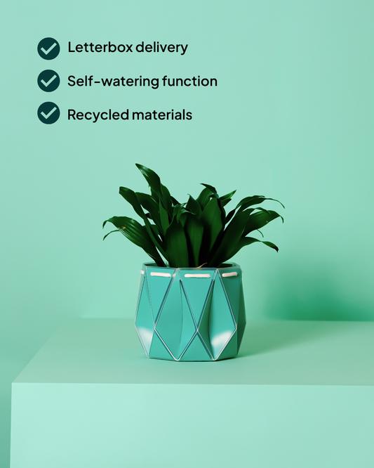 11cm Self-Watering Indoor Plant Pot | Aqua