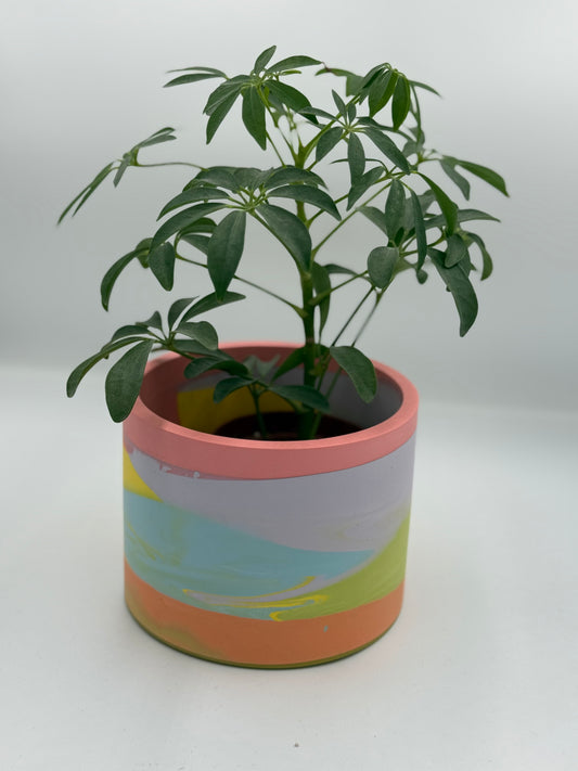 Large Plant pot - Zero Water- Bits of Colour