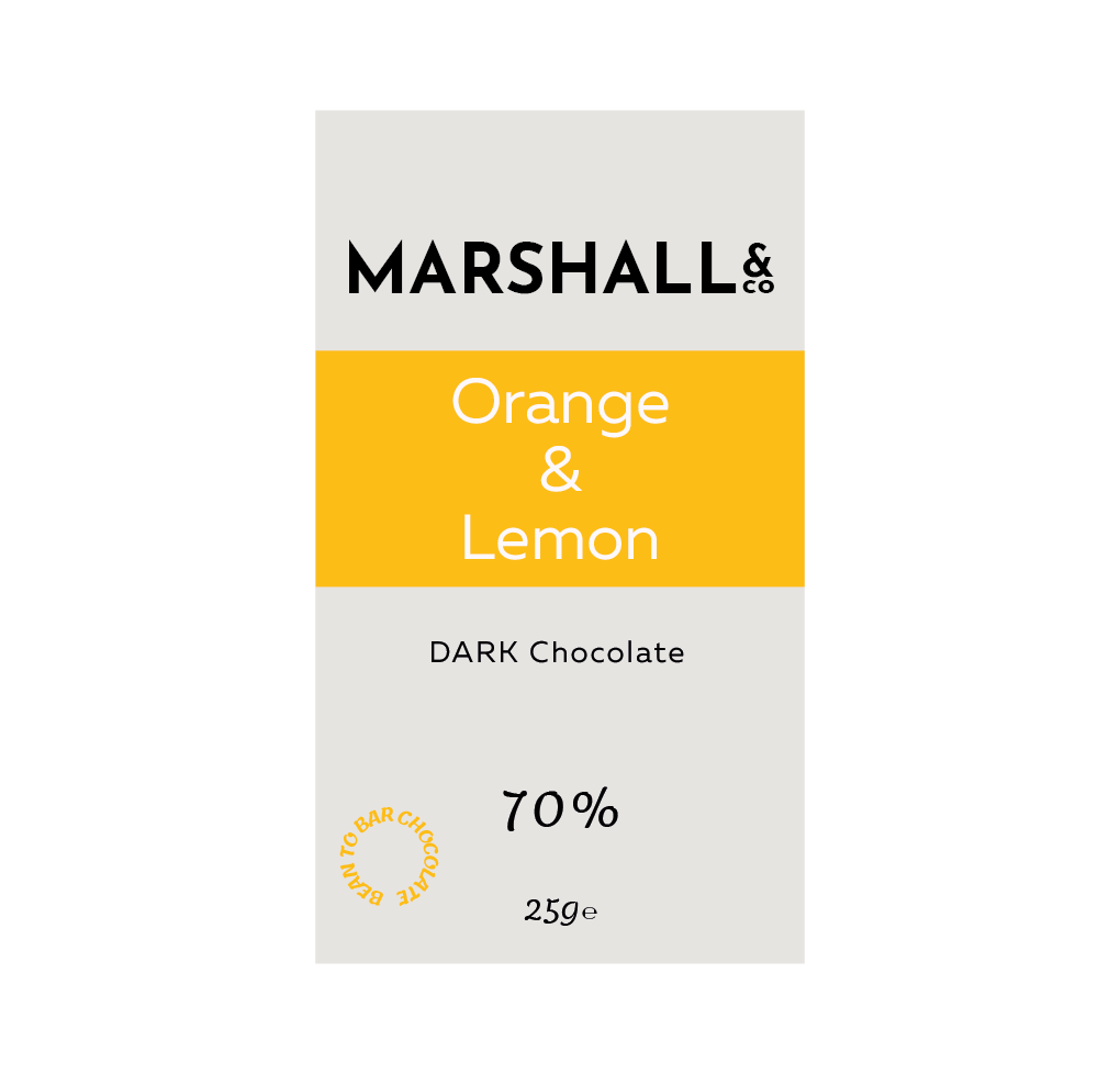 Orange & Lemon 70% Dark Chocolate Mini Bar 25g