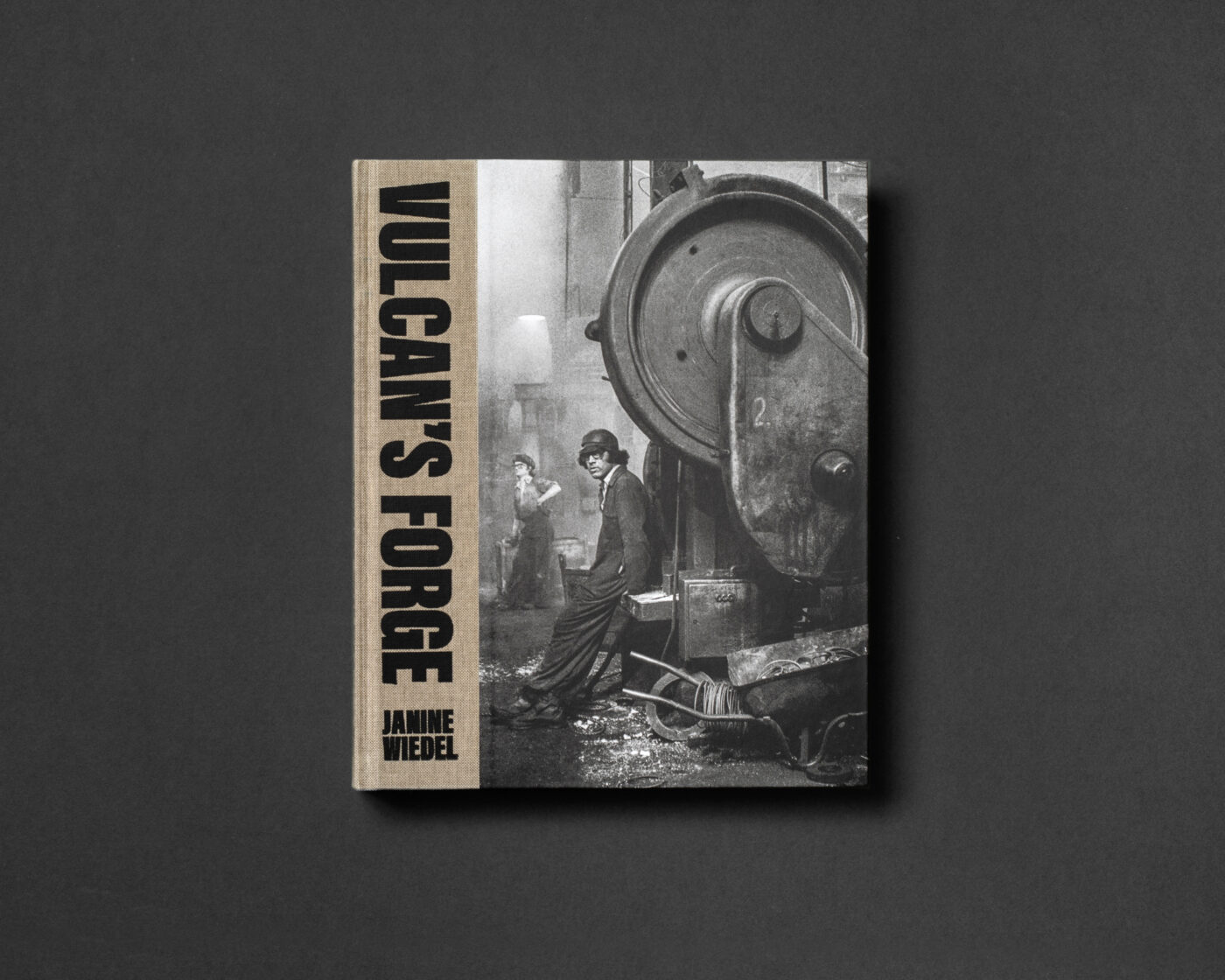 Vulcan’s Forge - Janine Wiedel