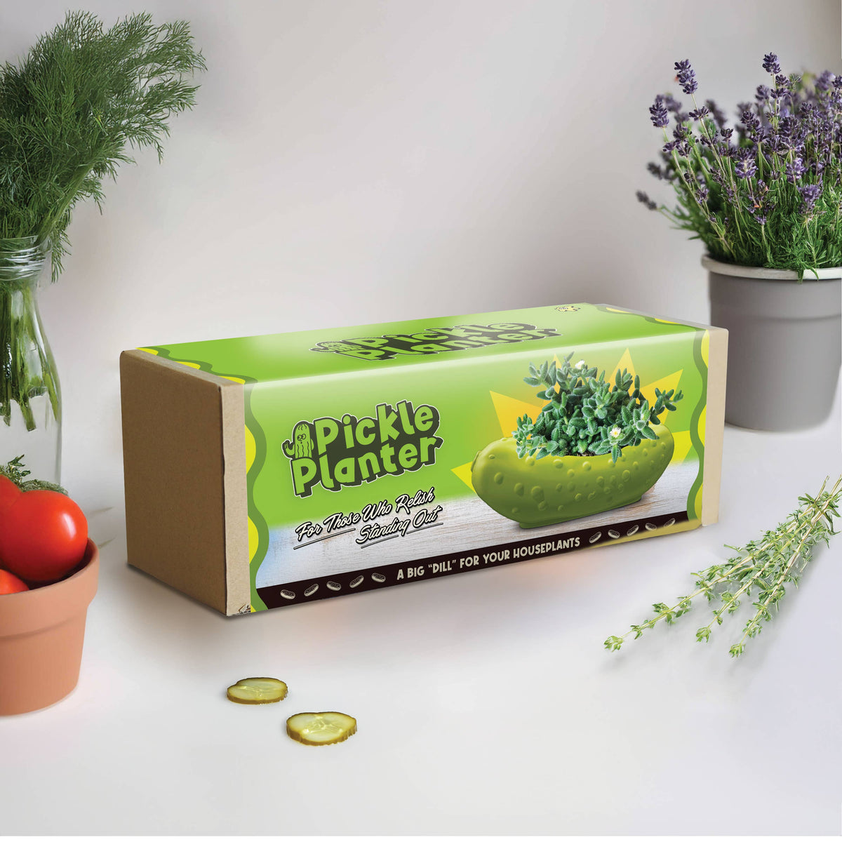 Pickle Planter | Funky Indoor Plant Pot | Gift & Home