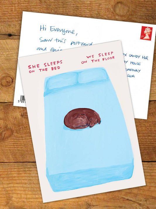 Funny A6 Art Postcard By David Shrigley - Sleeps On The Bed