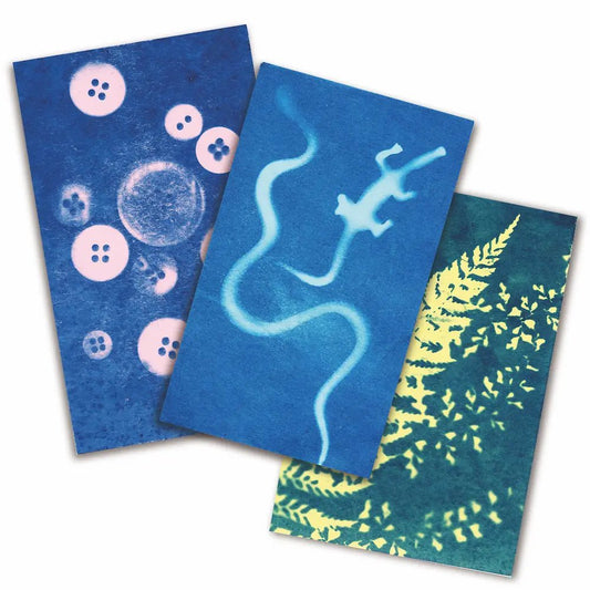 Sunography - Colour Cards