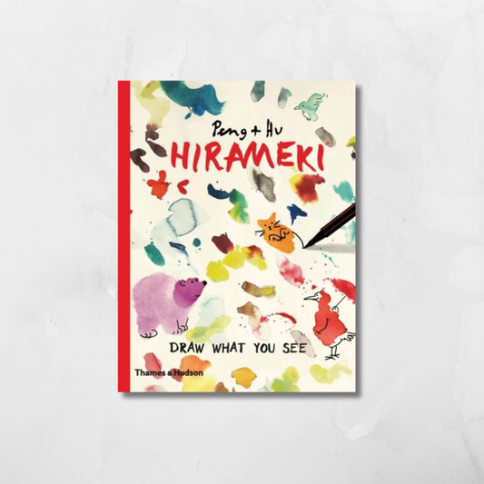 Hirameki : Draw What You See