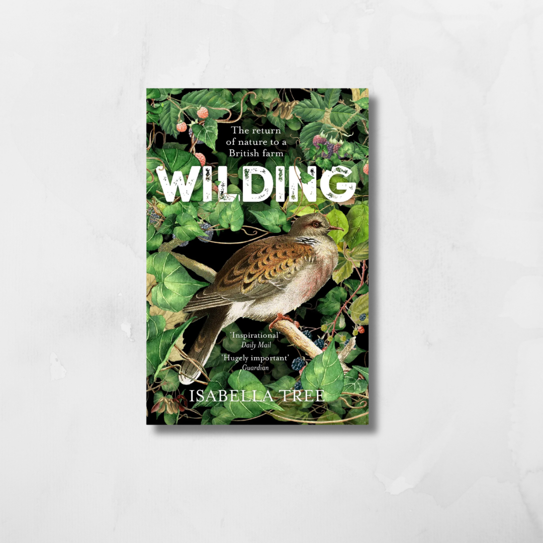 WILDING: THE RETURN OF NATURE TO A BRITISH FARM (PB) Isabella Tree