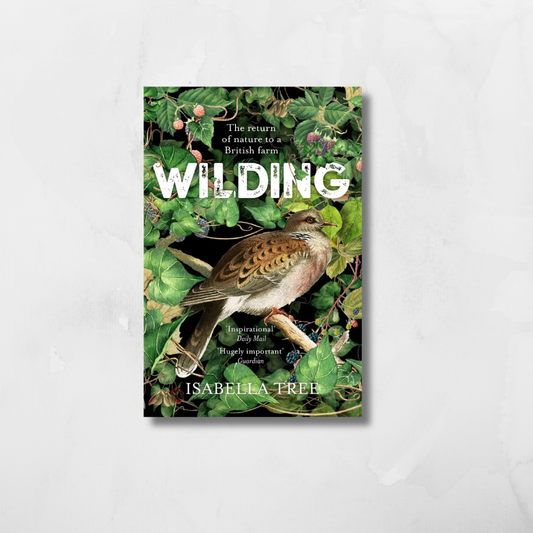 WILDING: THE RETURN OF NATURE TO A BRITISH FARM (PB) Isabella Tree