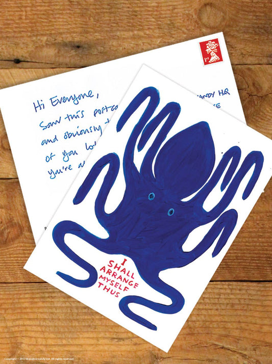 Funny A6 Art Postcard By David Shrigley - Arrange Myself