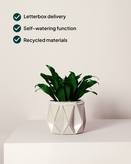11cm Self-Watering Indoor Plant Pot | Ivory