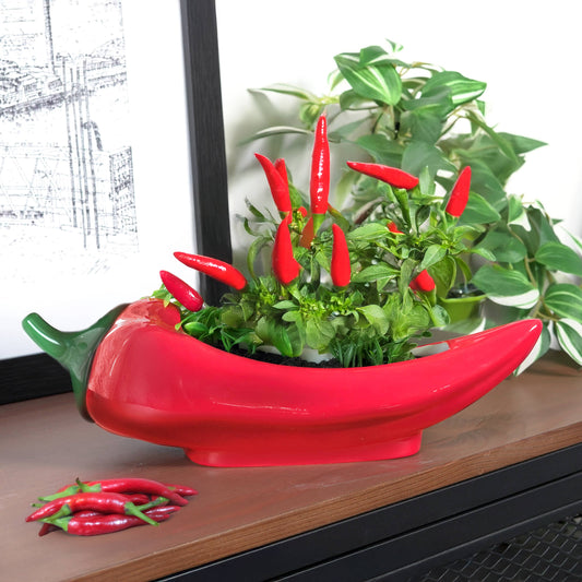 Red Hot Chili Planter | Indoor Plant Pot | Homeware Gift