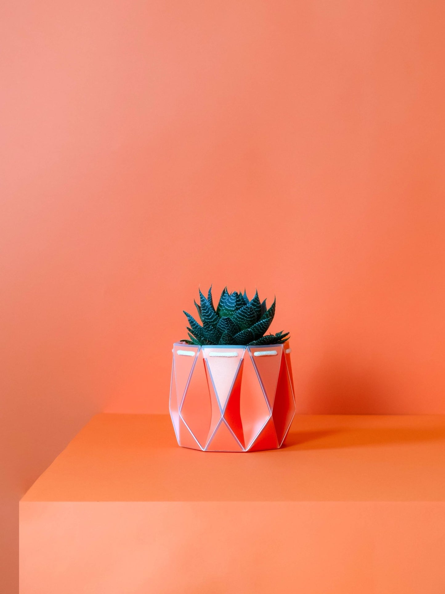 11cm Self-watering POTR | Coral Orange