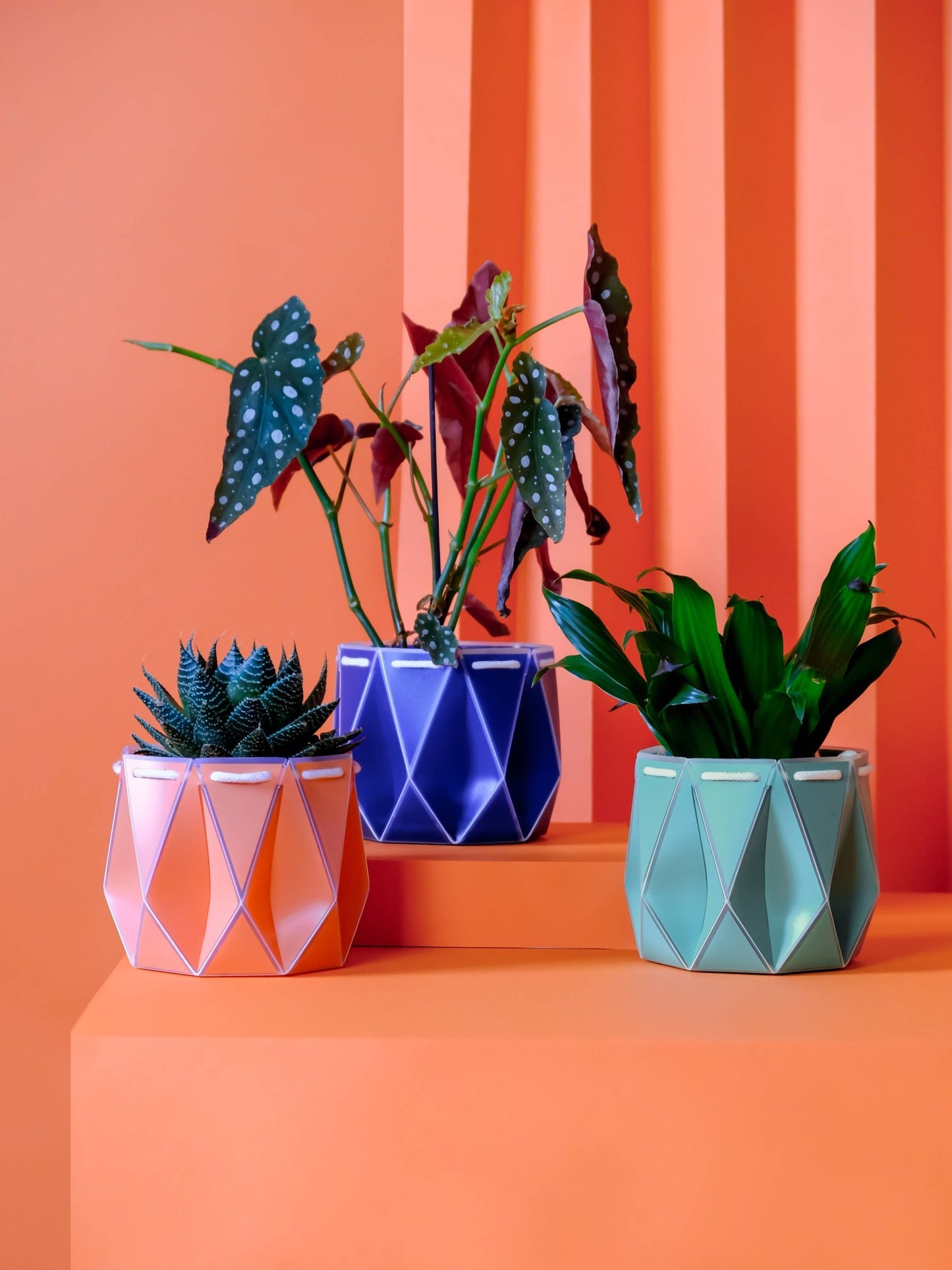 11cm Self-watering POTR | Coral Orange