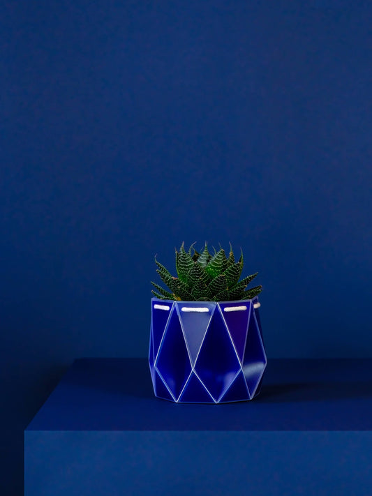 11cm Self-watering POTR | Navy Pot