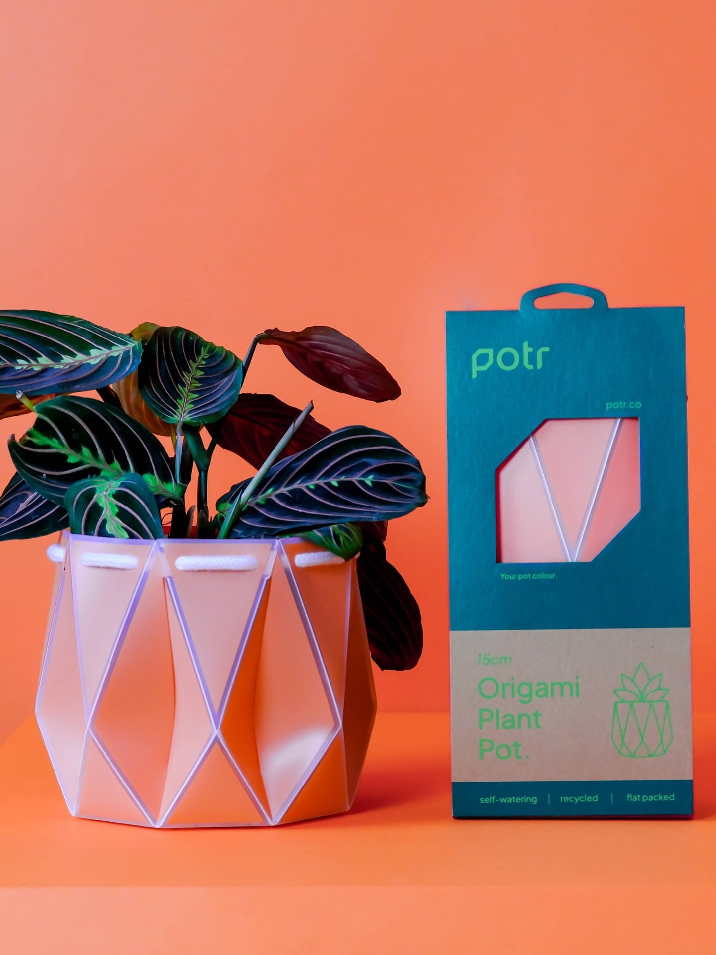 15cm Self-watering POTR | Coral Pot