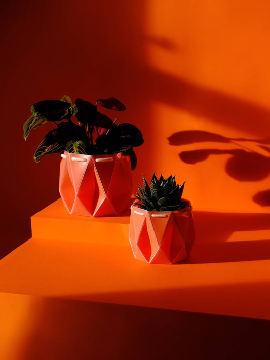 15cm Self-watering POTR | Coral Pot