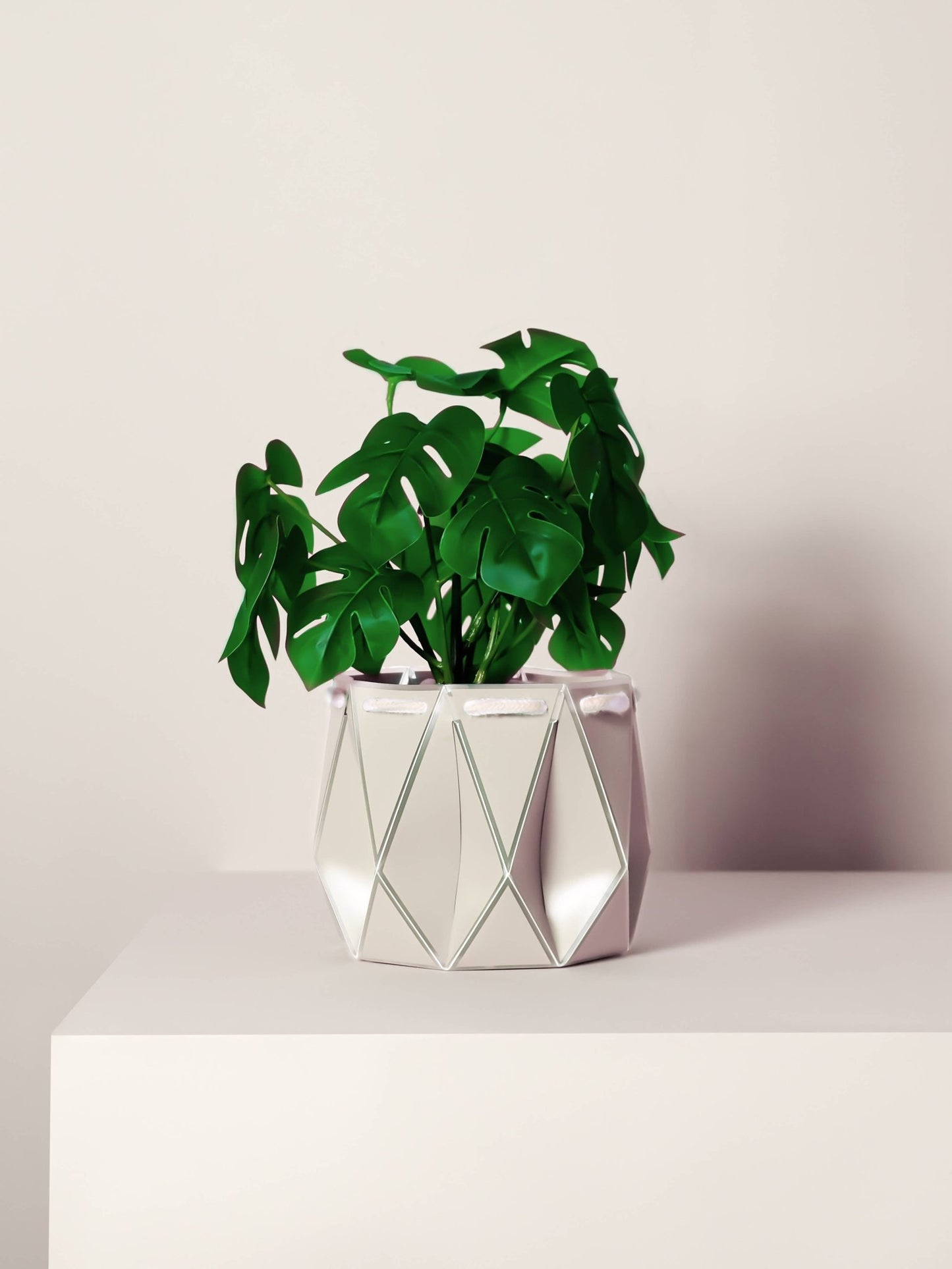 15cm Self-watering POTR | Ivory White