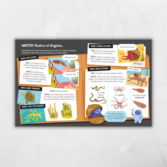 Lots of Things to Know About Seas and Oceans