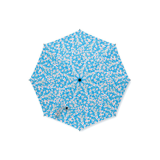 SAXIFRAGE Umbrella
