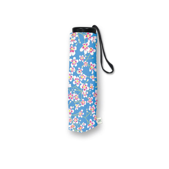 SAXIFRAGE Umbrella