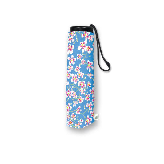 SAXIFRAGE Umbrella