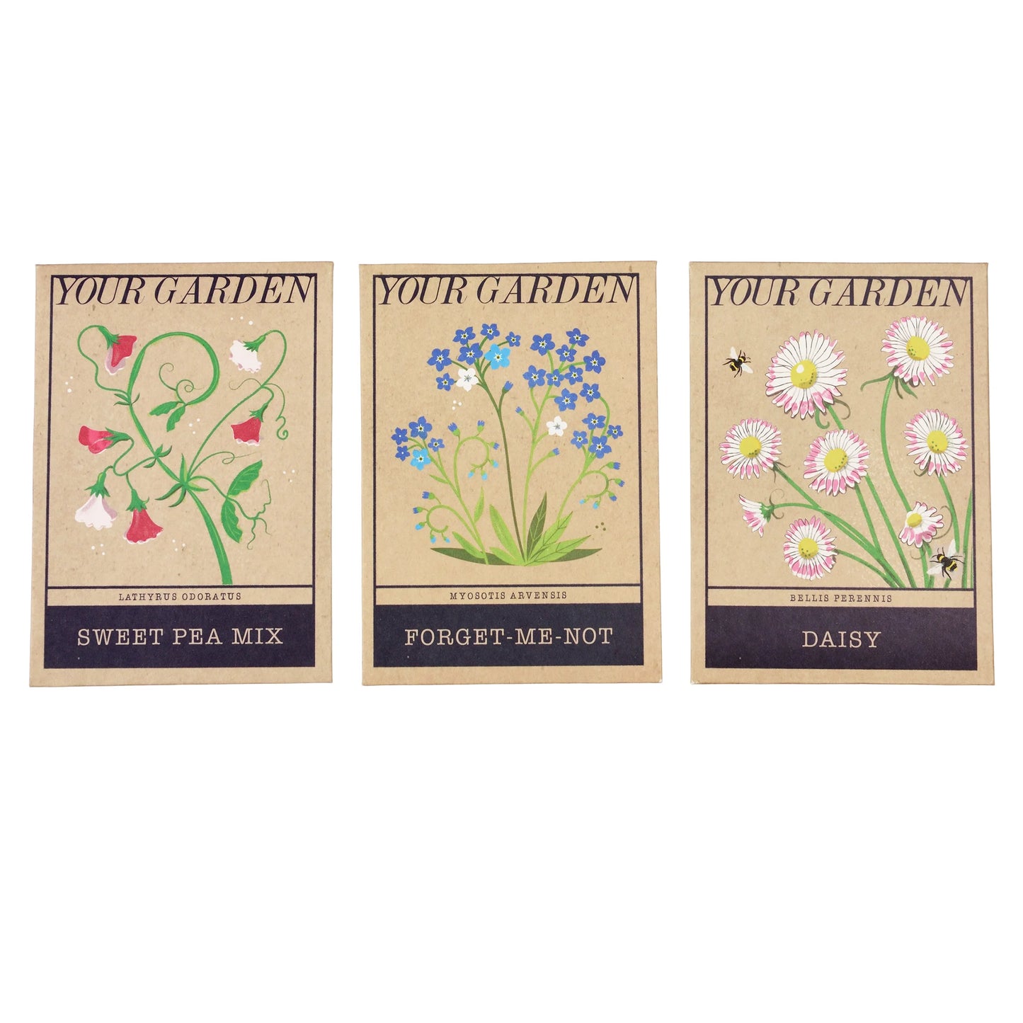 Pack of flower seeds - Your Garden