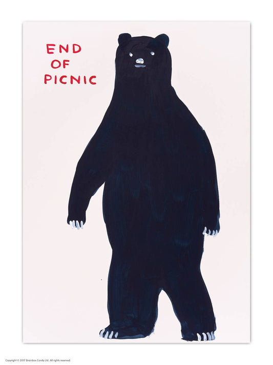 Funny A6 Art Postcard By David Shrigley - End of Picnic