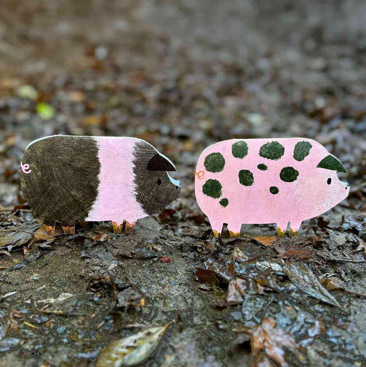 Spotty Pig Birthday Card | Foodie Gift | Farm Animal Card