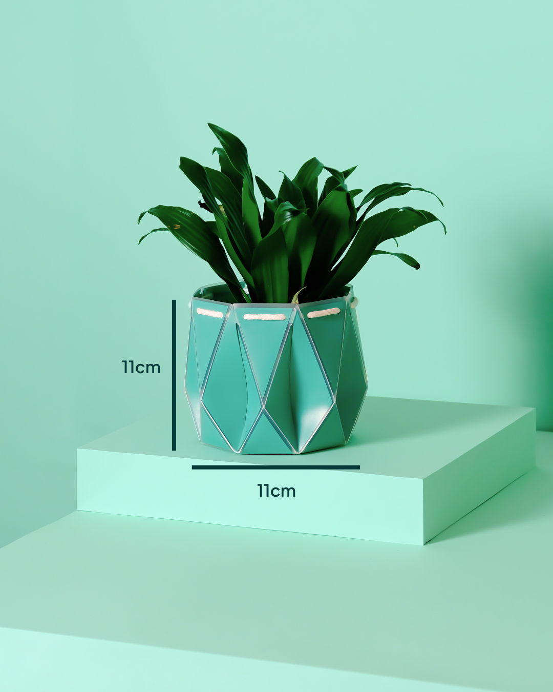 11cm Self-Watering Indoor Plant Pot | Aqua