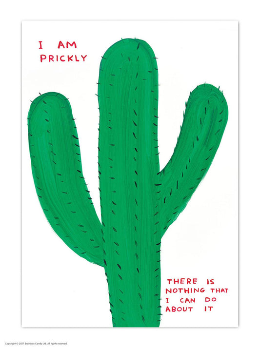 Funny A6 Art Postcard By David Shrigley - I Am Prickly