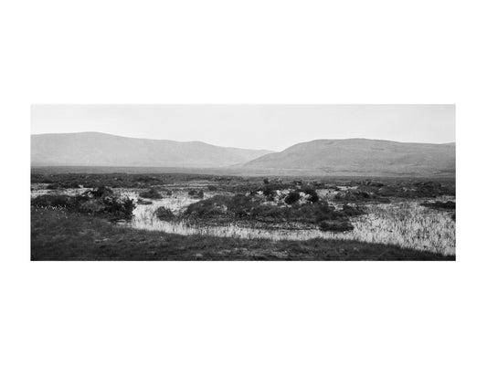 Zillah Bowes Art Print