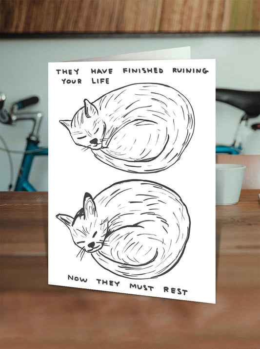 Funny Greetings Card By David Shrigley - Ruining Your Life