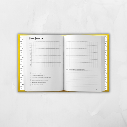 POSITIVE PLANNER (HB) by Alison McDowell