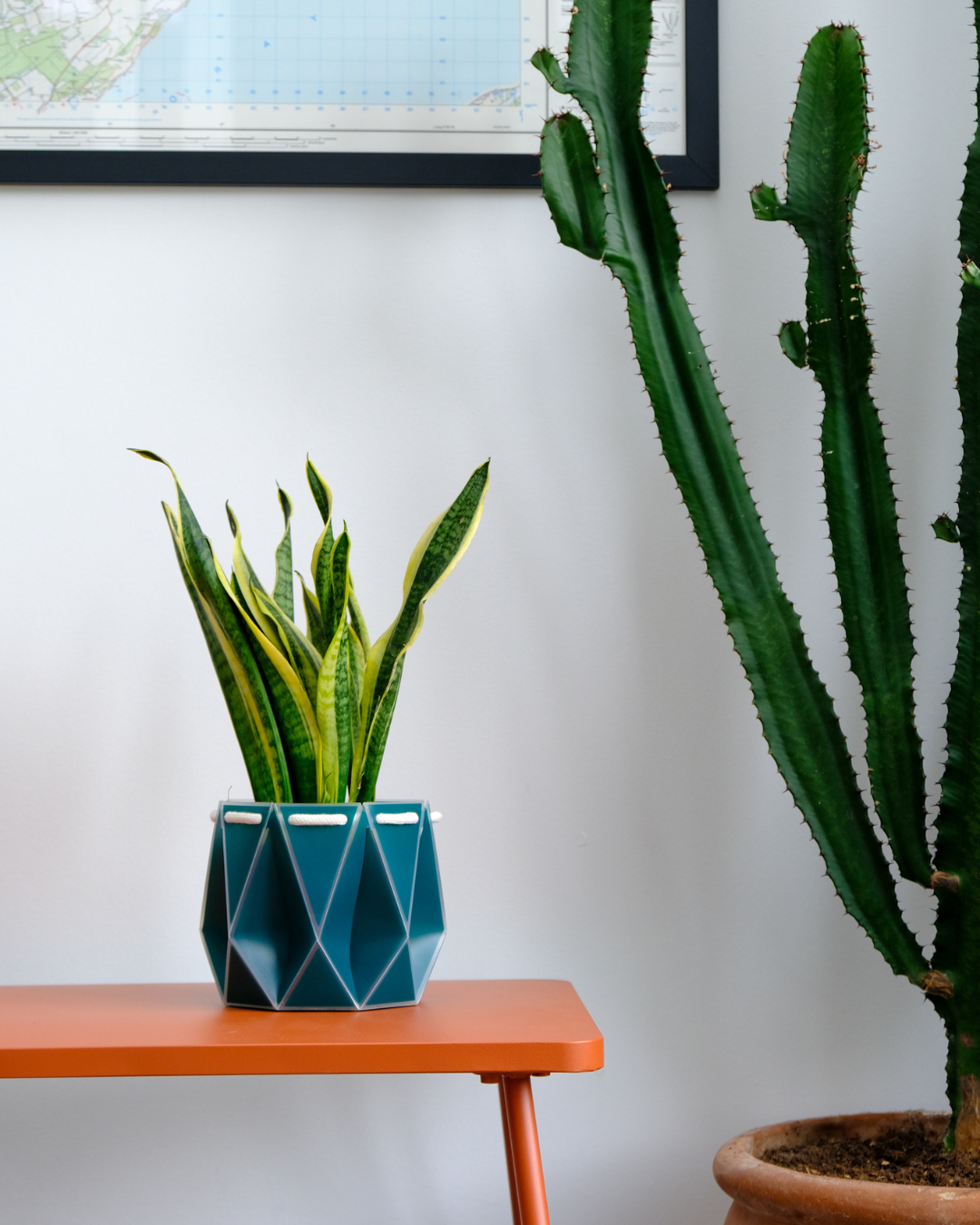 15cm Self-Watering Indoor Plant Pot | Dark Teal | Best Seller