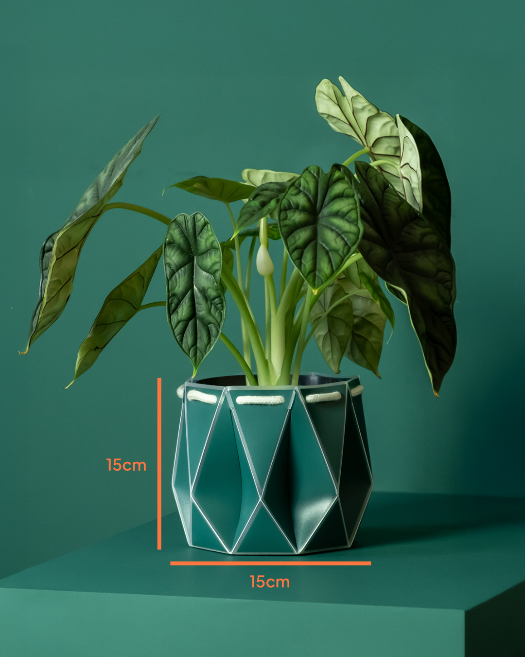 15cm Self-Watering Indoor Plant Pot | Dark Teal | Best Seller