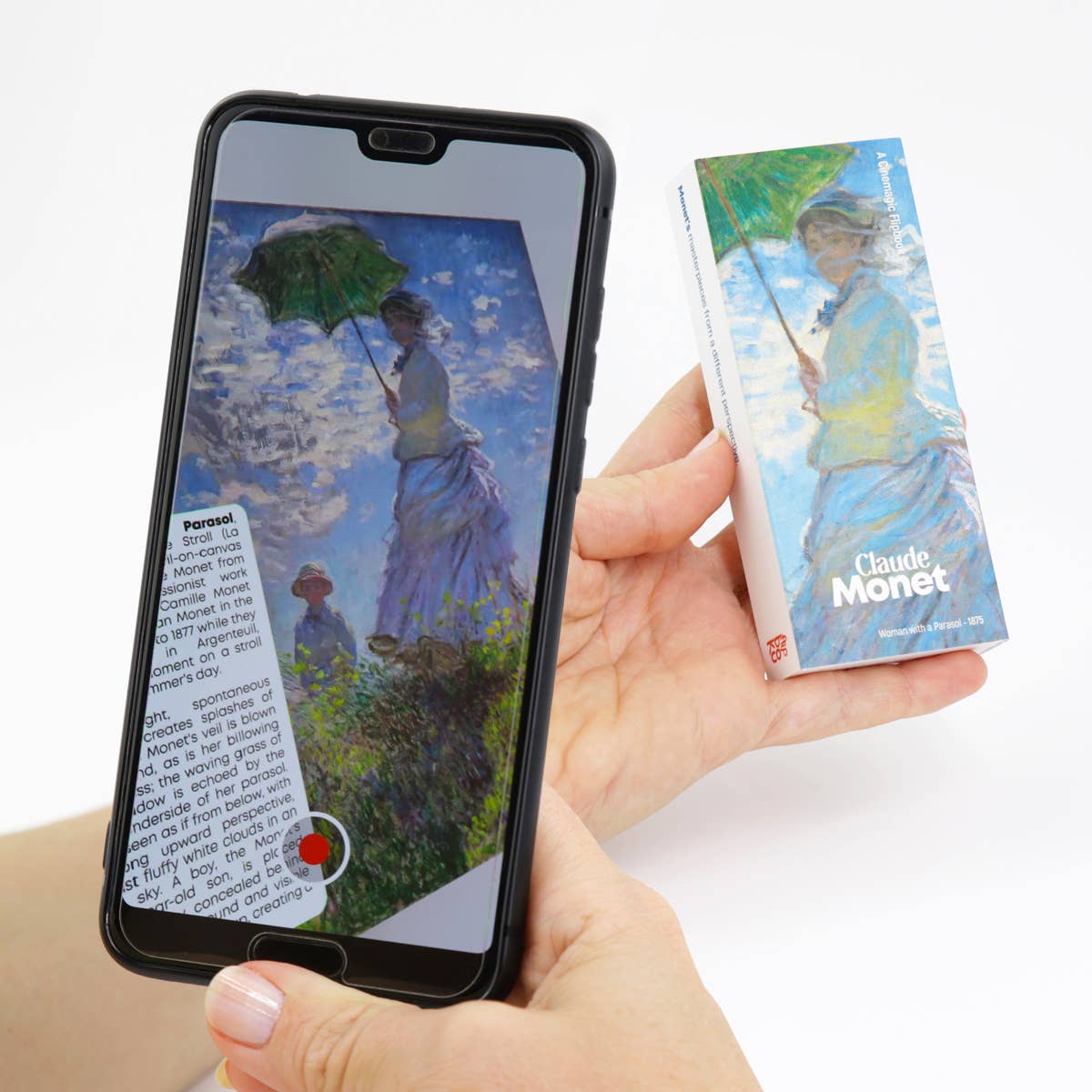 Claude Monet Flipbook