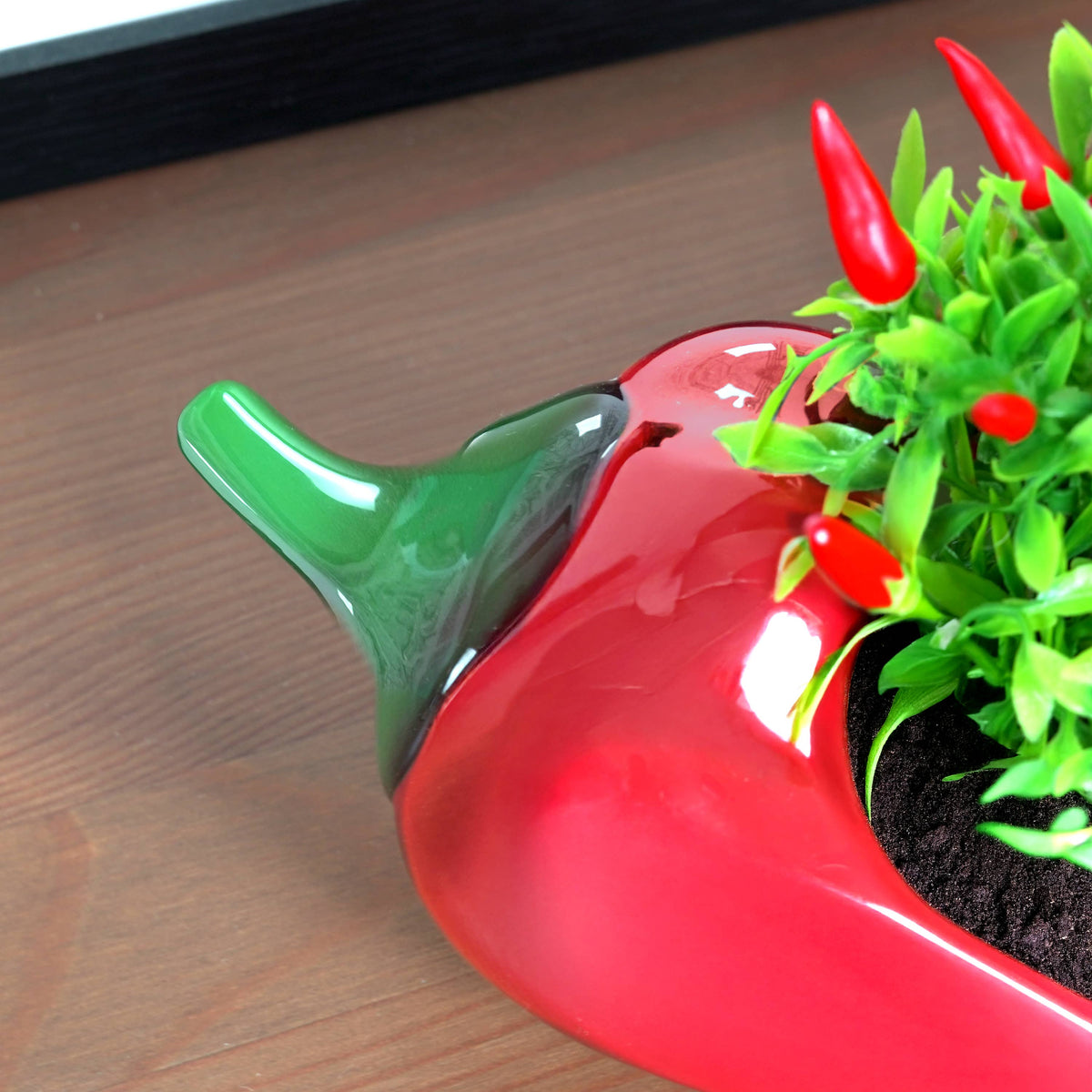 Red Hot Chili Planter | Indoor Plant Pot | Homeware Gift