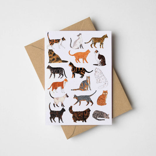 Cats Greeting Card | Pet themed birthday card