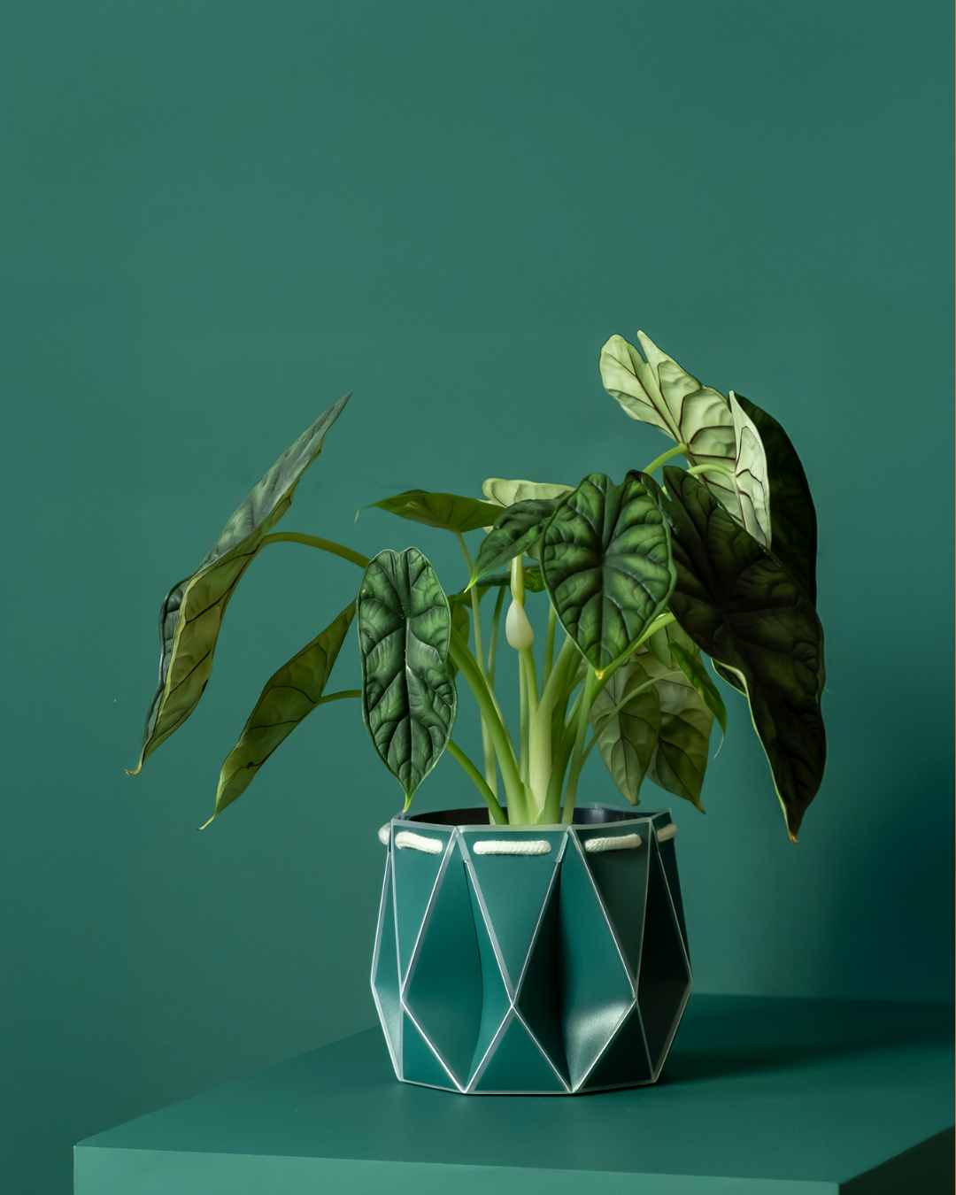 15cm Self-Watering Indoor Plant Pot | Dark Teal | Best Seller