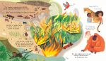 Can we really help the trees? By: Katie Daynes  Illustrated by Róisín Hahessy