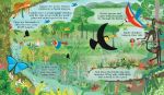 Can we really help the trees? By: Katie Daynes  Illustrated by Róisín Hahessy