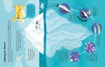 Lots of Things to Know About Seas and Oceans