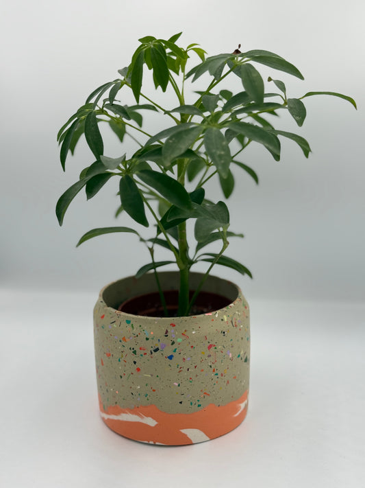Medium Plant pot - Zero Waste -Bits of Colour