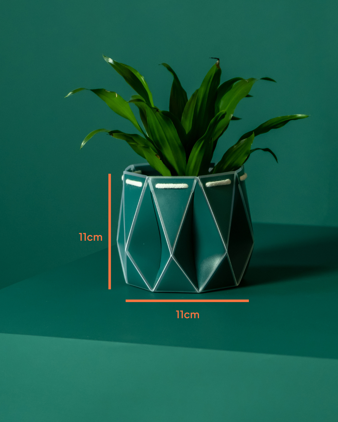 11cm Self-Watering Indoor Plant Pot | Dark Teal | Best Seller