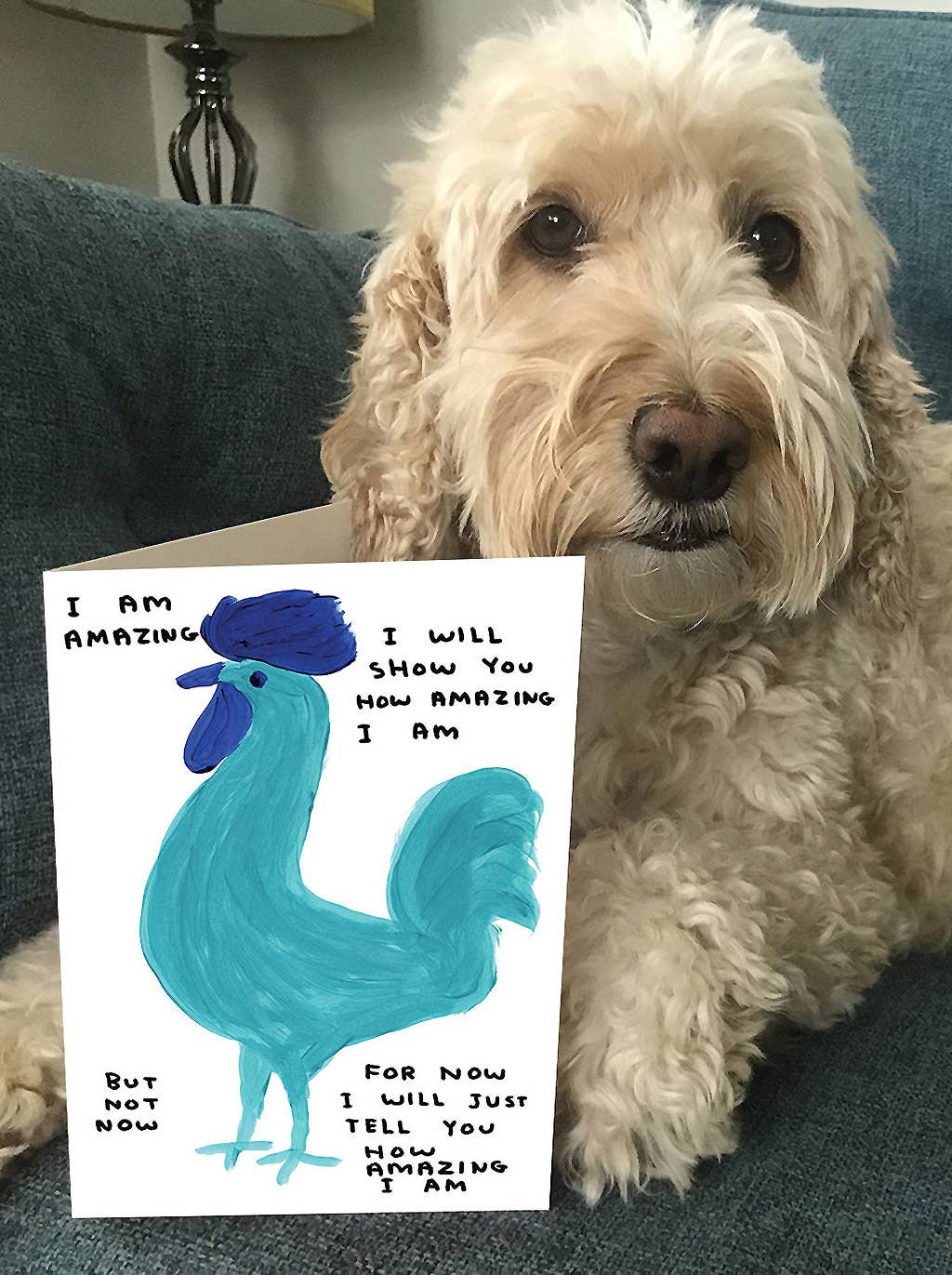 Funny Greetings Card By David Shrigley - I Am Amazing