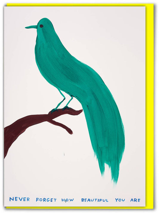 Funny Greetings Card By David Shrigley - You're Beautiful