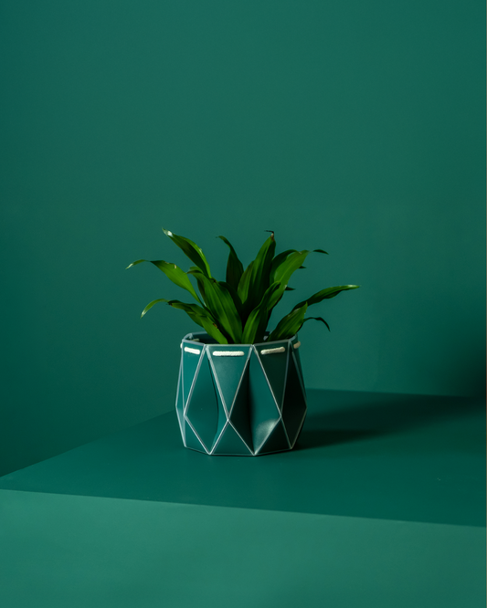 11cm Self-Watering Indoor Plant Pot | Dark Teal | Best Seller