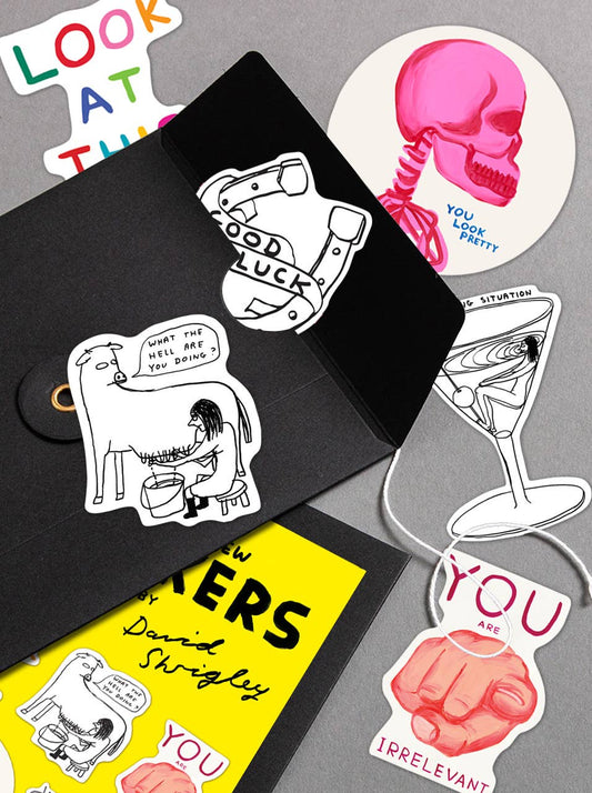 Funny Gift - Sticker Pack 4 by David Shrigley - 6 designs