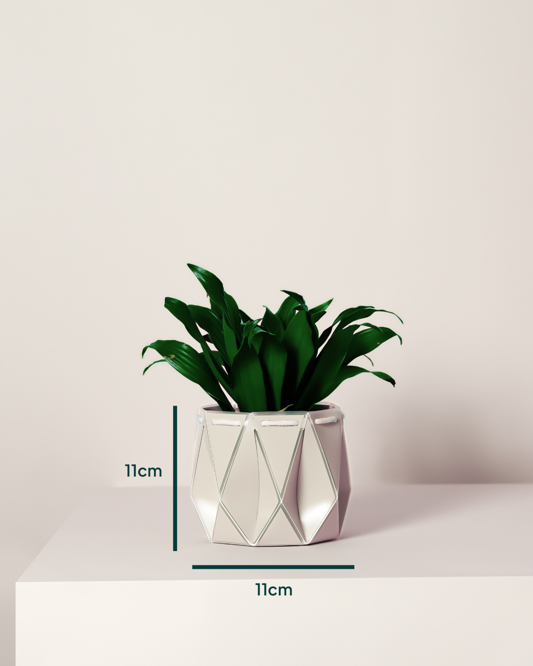 11cm Self-Watering Indoor Plant Pot | Ivory