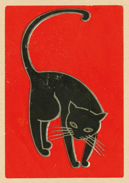 Black Cat: Good Luck